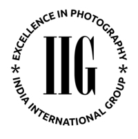 IIG 2026 - 279 IIG